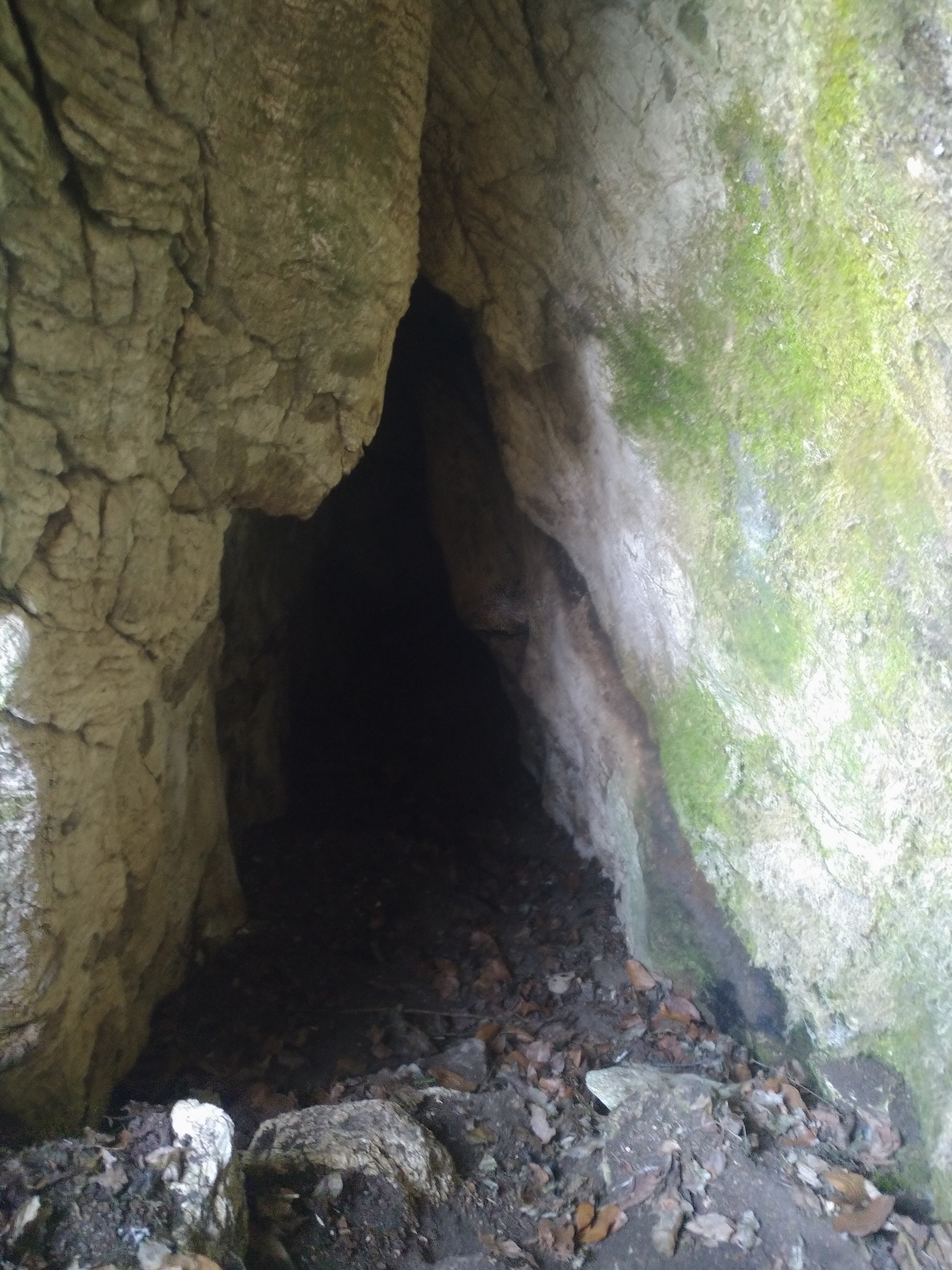 Pestera cu Borna - Image 2